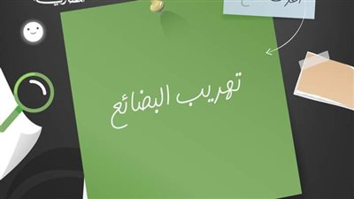 أمانة الفتوى توضح حكم تهريب البضائع