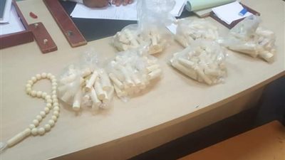 القبض على راكبة دنماركية وسوريين لمحاولتهم تهريب كميات من العاج وأقراص مخدرة | صور   