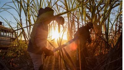 خبراء دوليون: العالم سيواجه وباء جديدا بسبب ارتفاع درجات الحرارة