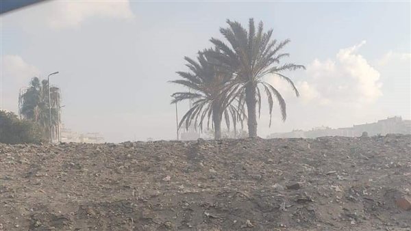 أدخنة متصاعدة ببورسعيد