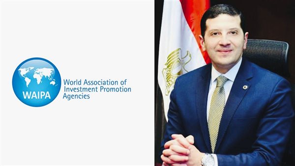 المستشار محمد عبدالوهاب