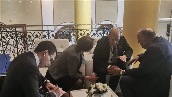 شكري ونظيره الفرنسي