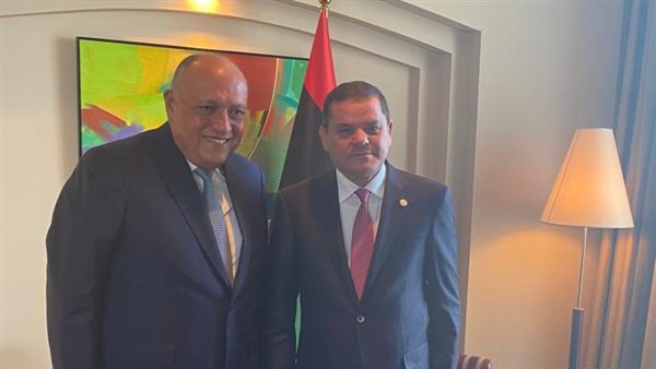 شكري مع رئيس حكومة