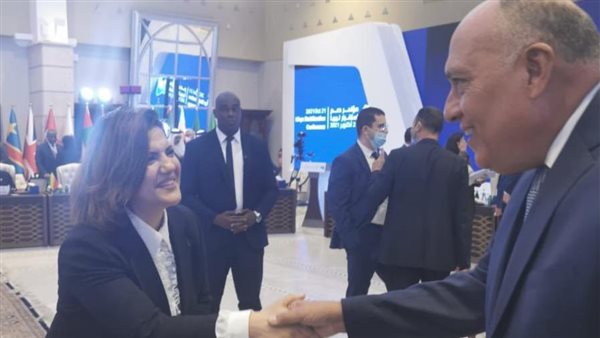 شكري ونظيرته الليبية