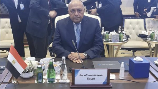 وزير الخارجية سامح