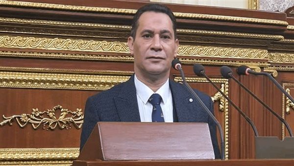 النائب أحمد عاشور