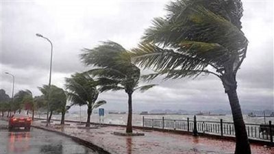 تحذيرات من شبورة مائية وسقوط أمطار.. الأرصاد تعلن حالة الطقس خلال أسبوع