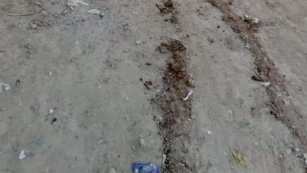 حملة لتمهيد الطرق