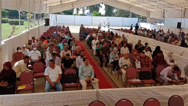 خلال جلسة المزاد