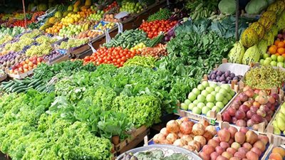 تشديد الرقابة وفتح منافذ حكومية.. خطة الفلاحين للقضاء على ارتفاع أسعار المنتجات الزراعية