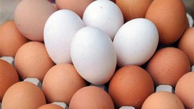 التموين: انخفاض أسعار البيض خلال أسبوع | فيديو