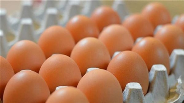 كرتونة البيض 