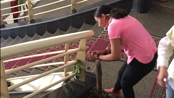 طلاب تربية رياضية