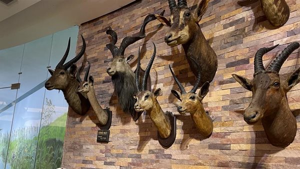 حديقة الحيوان