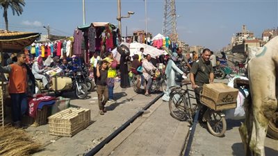 سوق الخميس بالعريش.. موروث شعبي يجمع التجارة والعلاقات الاجتماعية
