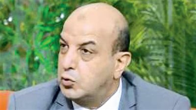 التموين: كرتونة البيض ستعود لسعرها الطبيعي خلال أسبوع