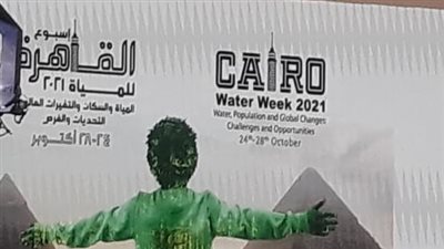 رئيس الوزراء: وصول المياه لكل فرد أمر ضروري