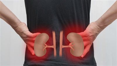 استشاري: الكلى مخلوقة بصلاحية وطاقة معينة والمسكنات أكبر خطر عليها | فيديو