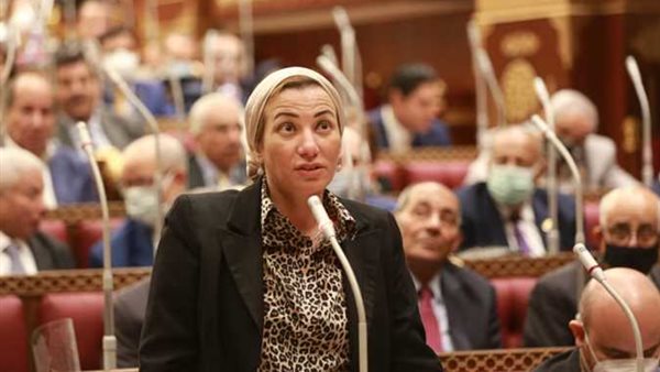 وزيرة البيئة الدكتورة