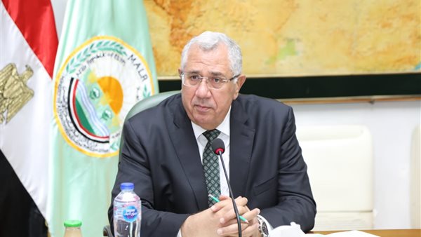 السيد القصير