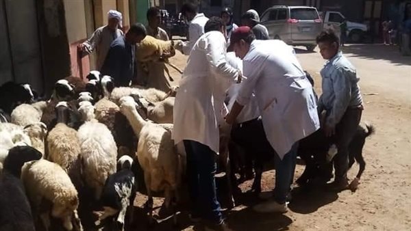 قافلة بيطرية بالمجان