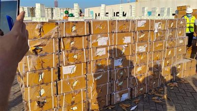 إحباط محاولة تهريب مليون و750 ألف قرص تامول عبر ميناء شرق بورسعيد | صور 