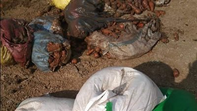 إعدام وضبط 18 طنا من المواد والسلع الغذائية منتهية الصلاحية في البحيرة 