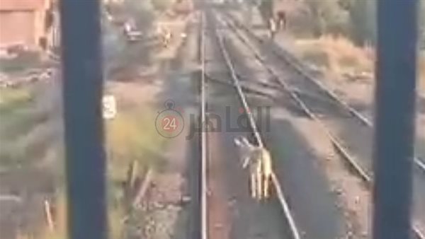 جانب من الواقعة 