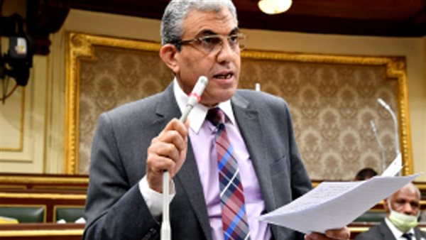 عادل عبد الفضيل -