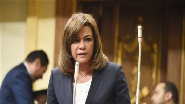 النائبة سحر طلعت