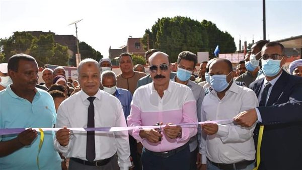 محافظ أسوان