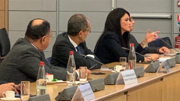 وزيرة التعاون الدولي