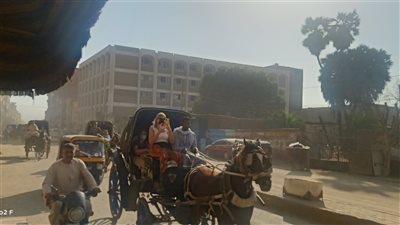 نشاط ملحوظ في عودة السياحة إلى أسوان | صور