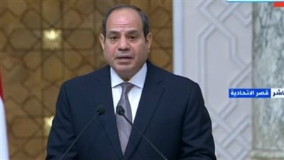 السيسي: اللجنة المشتركة بين رومانيا ومصر ستلعب دورًا كبيرًا في العلاقات بين البلدين