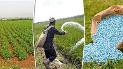 زراعة سوهاج تعلن قواعد صرف الأسمدة للموسم الشتوي الجديد
