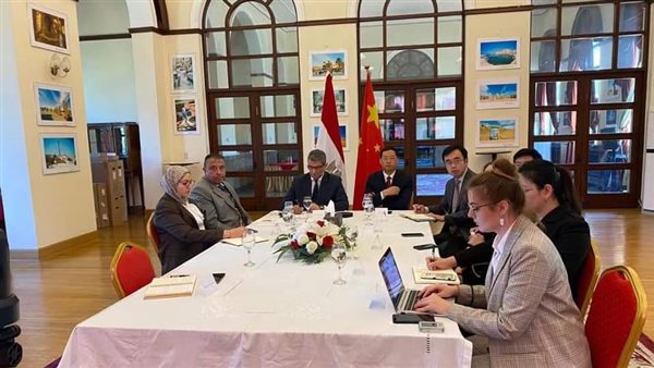 اجتماع السفير المصري