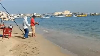 شماسٍ وكراسٍ ورمال.. الهدوء يُخيم على شاطئ أبو العباس بالإسكندرية 