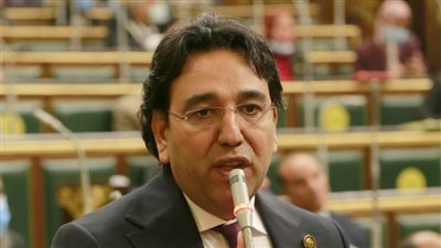 أيمن محسب: اختياري مقررا للجنة الاستثمار بالحوار الوطني مسئولية كبيرة