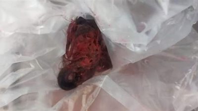 شعر ودم ومانكير.. سيدة تضع السحر لـ سلفتها في الطعام بسبب الغيرة بقنا 