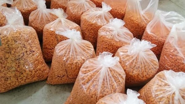 بعض المضبوطات