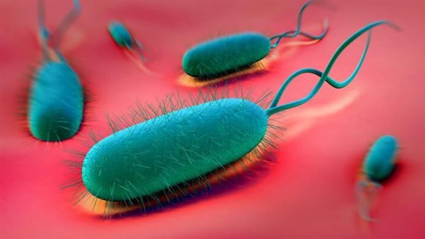 أعراض جرثومة المعدة