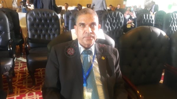 نائب رئيس شرفي للهيئة