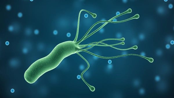 علاج جرثومة المعدة
