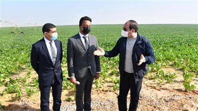الدلتا الجديدة.. مشروع الدولة لتحقيق الأمن الغذائي لـ مصر