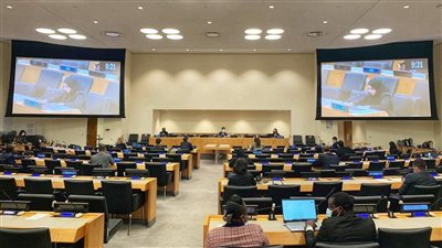 الدبلوماسية المصرية 2021.. كيف تصدت الخارجية لادعاءات الخارج عن حقوق الإنسان؟ 