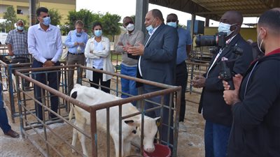 وفد من التعاون الدولي وإيفاد يتفقدون مشروعات زراعية بالإسكندرية وكفر الشيخ