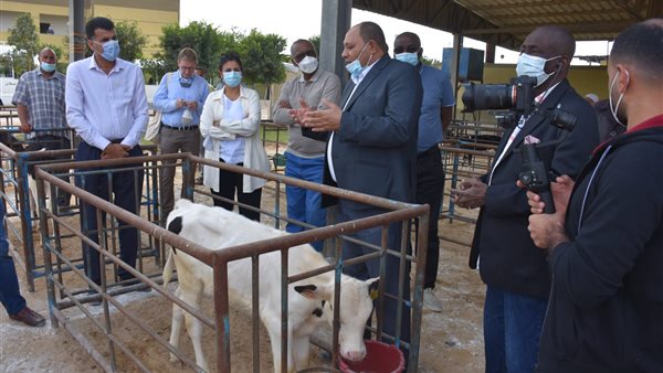 وزارتي التعاون الدولي