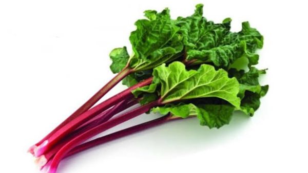 عشبة الراوند