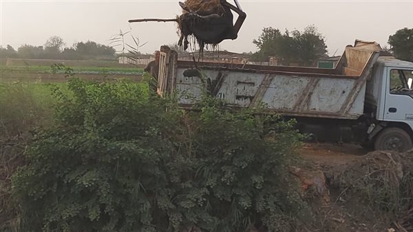 تطهير مصرف السنطة