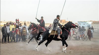 بمشاركة الباشا والمخيف.. انطلاق سباق الخيول بأسوان اليوم